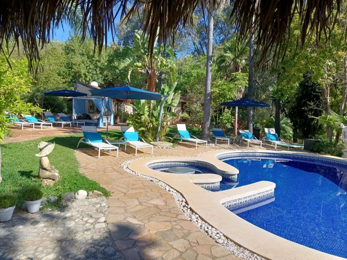 La Fuente Oase B&B Coín エクステリア 写真
